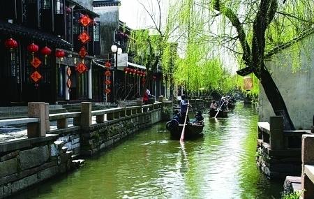 探索知识星球平台——日本战国大名上洛需要理由吗?大好机会